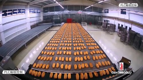 PLC编程控制 赋能食品生产线自动化，驱动企业管理升级