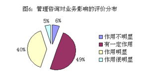 2003年度管理咨询行业市场发展报告